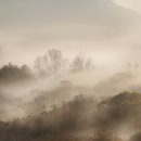 비밀의 정원 이미지