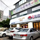 일생대패