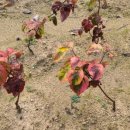 이쁜농장 이미지