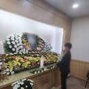 상조삼 이미지