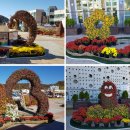 예산장터국밥 이미지