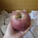 어울농장 이미지