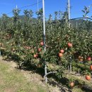 탑정마을 이미지