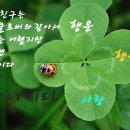 공주님빵