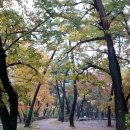 송악강장1리경노당 | 아산봉곡사 천년비손길 탐방