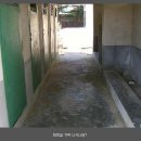 소안초등학교3 Daum카페