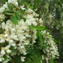 팔용산 등산로 입구 이미지