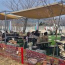 동화초등학교 병설유치원 이미지