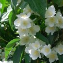 세보식품 이미지