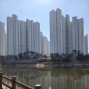 30년전통순이네염소 이미지