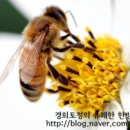 경희토정한의원 이미지