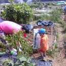 준서네 농장 이미지