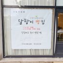 앨리스;달팡이