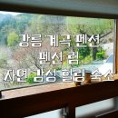 오대산펜션 | 강릉 계곡 펜션 림 | 강원도 오대산 감성 숙소