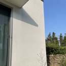 과수원민박 | 제주도 민박, 제주도 숙소 '과수원집 소원재' 뒷집 다녀온 후기