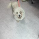 빛가람동물병원 이미지