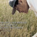 정주영농장 이미지