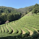 대한다원화장실 이미지