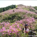 276차 부산 금수강산 산악회 전북 남원 봉화산 산행 안내 이미지