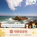 일산해수욕장1(막구지기별빛광장) | 10월 마지막날 일산해수욕장