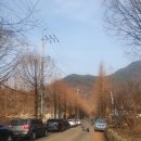 나라한농장 | 경남에서 눈 구경하기 :: 밀양 참샘허브나라, 주말 방문