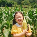 농업회사법인주식회사제주와 이미지