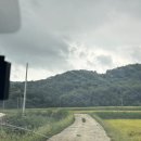 여주 다리원 애견독채팬션 이미지