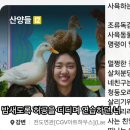 [영화]산양들..감상후 지은 노래.. 이미지