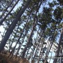 [제주도여행 싸게 가는 법]제주도여행 싸게 가는 법-총 모음