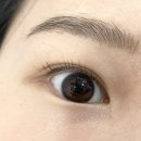 토니모리인천부평지하상가 | [인천/부평] 모아드뷰티 속눈썹 펌 후기/케라틴 속눈썹 펌/부평역 지하상가 속눈썹 펌 추천