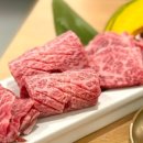 강남-248 이미지