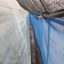 수막 목장 이미지