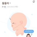 [임신로그]33주~36주, 나에게 쉼표가 찾아오다