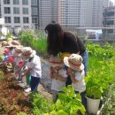 피망어린이집 이미지