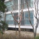 도봉-창동-도봉-5371 이미지