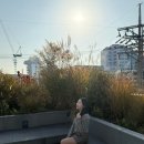 내가면-6 | Pt 20회 여성 직장인 후기 (피티 가격, my 운동 스타일)