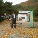 당림미술관 이미지