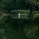 곡성-266 이미지