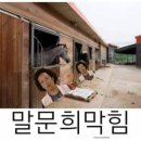 에그투어 - 중구 서소문로 89 | 에그투어