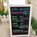 베이비엔젤스