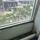 분당-34 | 클린웍스 동분당센트럴파크 34평 입주청소 후기