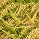 갯골생태공원(소금창고) 이미지