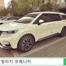 새들브라운 이미지