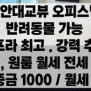 로제공인중개사사무소 이미지