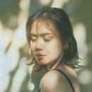 블라인드마켓 - 사상구 낙동대로 910 | 블라인드마켓