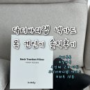 바디닥터 | [닥터바디랩] 넥가드 목견인기 후기 | 거북목·일자목 하루10분 루틴 습관만들기