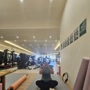 포레스트모가 이미지