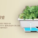 화분들닷컴 이미지