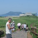 천지연 폭포 이미지