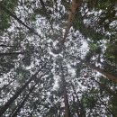 성주산자연휴양림 이미지